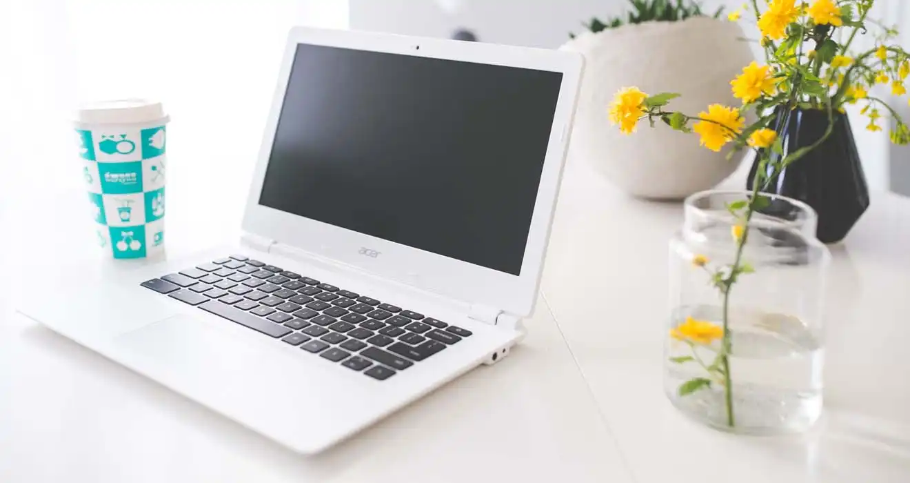Ремонт ноутбуков Acer в Воронеже